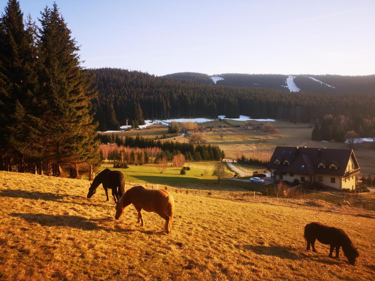 Vila Wichrowe Wzgorze Stronie Śląskie Exteriér fotografie