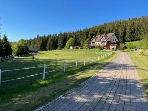 Vila Wichrowe Wzgorze Stronie Śląskie Exteriér fotografie
