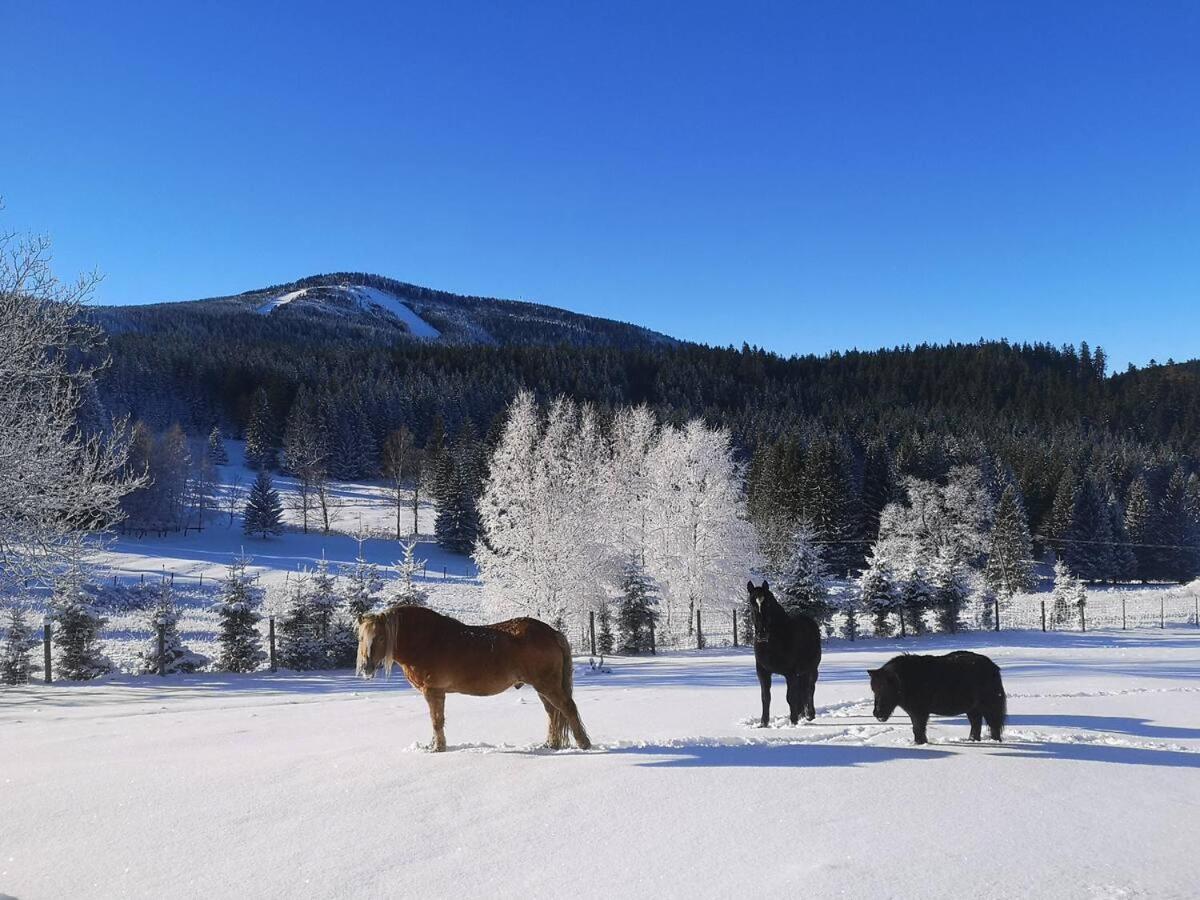 Vila Wichrowe Wzgorze Stronie Śląskie Exteriér fotografie