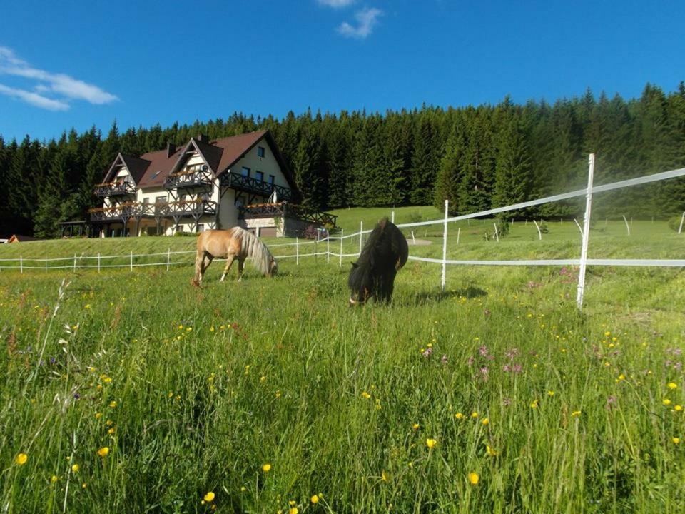 Vila Wichrowe Wzgorze Stronie Śląskie Exteriér fotografie